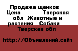 Продажа щенков  › Цена ­ 8 000 - Тверская обл. Животные и растения » Собаки   . Тверская обл.